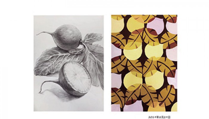 学部素描色彩构成