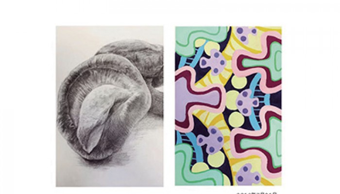 学部素描色彩构成